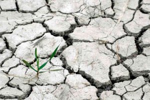 El cambio climático afectará al sector agrario español