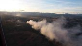 Siete focos simultáneos en el último incendio provocado en León