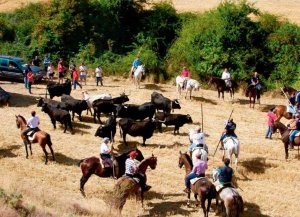 Agreda calienta motores con la vista puesta en las fiestas de San Miguel