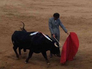 Rubén Sanz desoreja a su lote en Arcos de Jalón Rubén Sanz desoreja a su lote en Arcos de Jalón