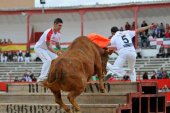 "Especial Arriazu" abre los festejos taurinos de las fiestas de Ágreda