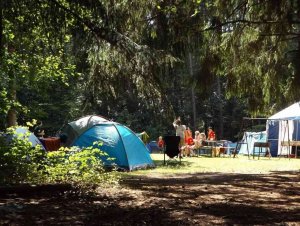 La Junta informa de la nueva normativa al sector de campings