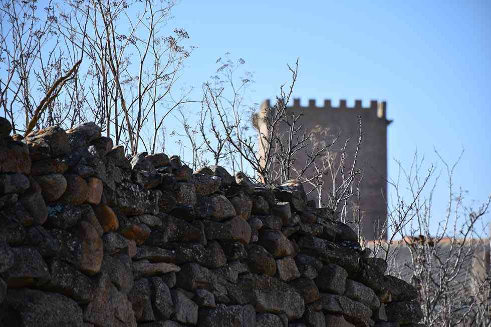 La fundación Cepaim organiza una jornada para "actualizar" lo rural La fundación Cepaim organiza una jornada para "actualizar" lo rural