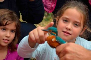 Avifauna en Yanguas, con avistamiento y anillamiento de pájaros