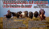 El próximo domingo Borobia celebrará su X Feria Ganadera