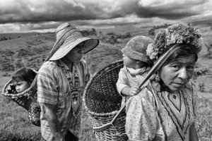 Exposición fotográfica de la guerra de Colombia