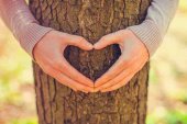 Un árbol decorado para sensibilizar sobre la salud mental