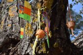 Un árbol decorado para sensibilizar sobre la salud mental