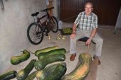 Un calabacín de récord, en Vízmanos