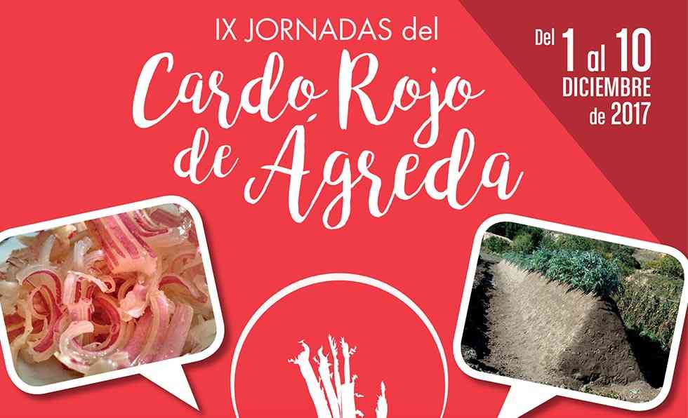 Ágreda se prepara para las IX Jornadas del Cardo Rojo Ágreda se prepara para las IX Jornadas del Cardo Rojo