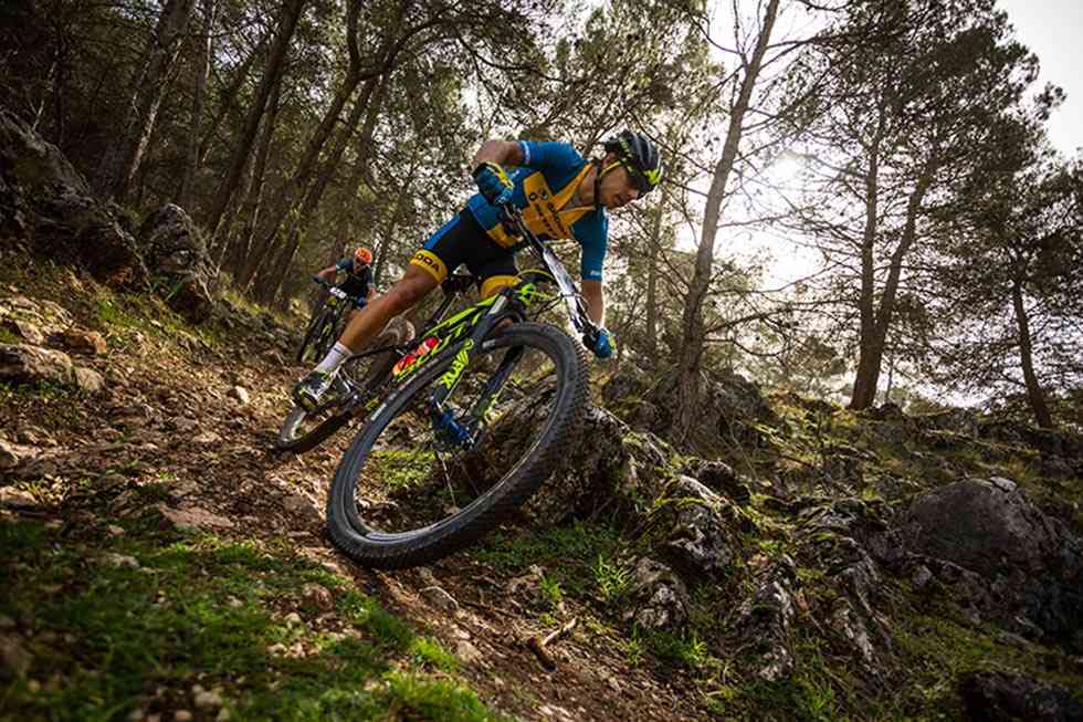 Recomendaciones para circular con seguridad con bicicleta de montaña Recomendaciones para circular con seguridad con bicicleta de montaña