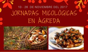 Jornadas micológicas, teatro y exposición, en Ágreda