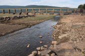 Nuevo descenso del embalse de la Cuerda del Pozo