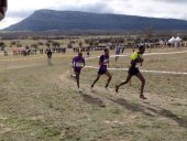 E. Leclerc colabora un año más con el Campo a Través de Soria