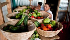 Exposición fotográfica sobre proyectos de desarrollo en El Salvador