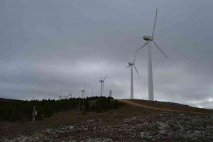 Los castellano leoneses reconocen su preocupación por el cambio climático Los castellano leoneses reconocen su preocupación por el cambio climático