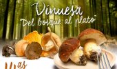 Vinuesa organiza la 14 edición de sus Jornadas Micológicas Gastronómicas