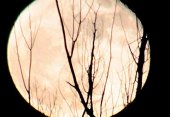 El fenómeno de la Superluna, en Soria