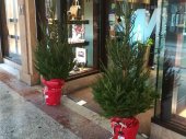 FECSoria ornamenta la Navidad de 65 comercios