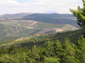 Ruta senderista desde San Pedro Manrique a Yanguas