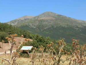 Ágreda encarga a una empresa los trámites para que el Moncayo soriano sea parque natural