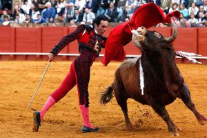 La Junta pondrá en marcha el Portal de la Tauromaquia