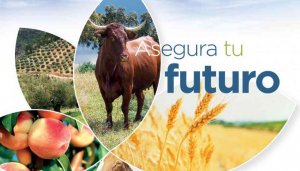 El Magrama edita la Guía del Seguro Agrario 2018