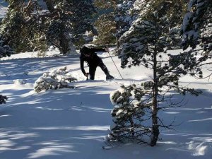 La Riba de Escalote marca la mínima temperatura de la Península