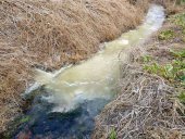 ASDEN detecta vertidos "altamente contaminantes" en el río Val