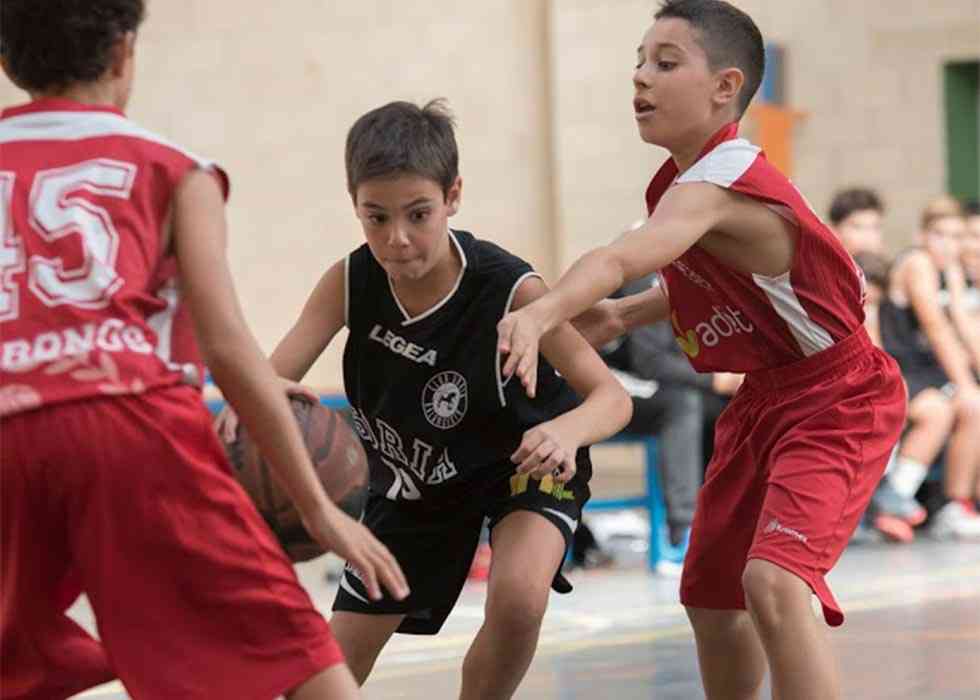 El CSB no puede con el C.B. Palencia