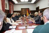 La Comisión de Asistencia marca las prioridades del Gobierno en Soria para 2018