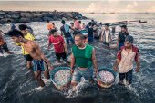 Segundo premio del concurso de relatos breves de la dieta mediterránea