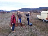 Jornada de voluntariado en Hinojosa de la Sierra