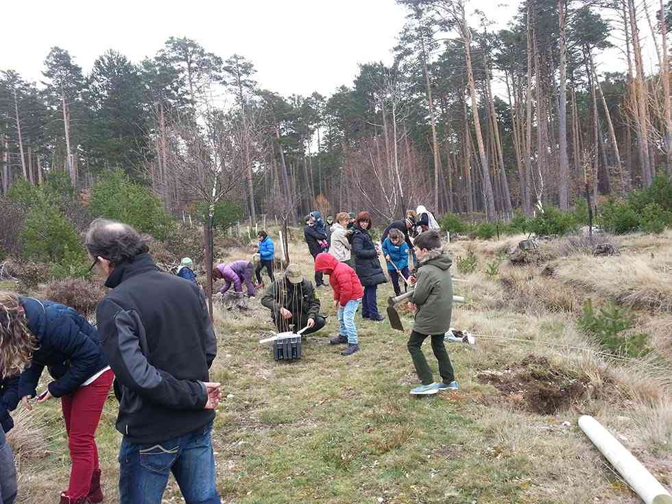 Ganadores del XI Concurso con motivo del Día del Árbol