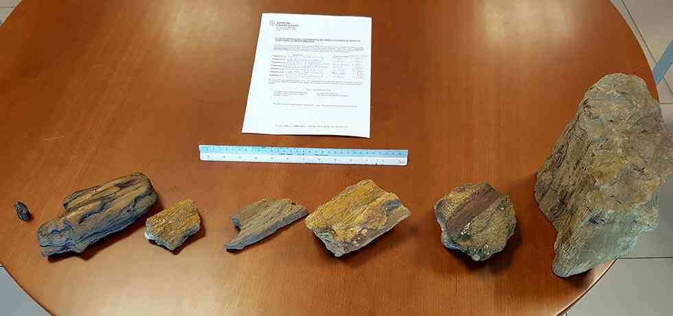 Fragmentos de árboles fósiles en el Cañón del Río Lobos Fragmentos de árboles fósiles en el Cañón del Río Lobos