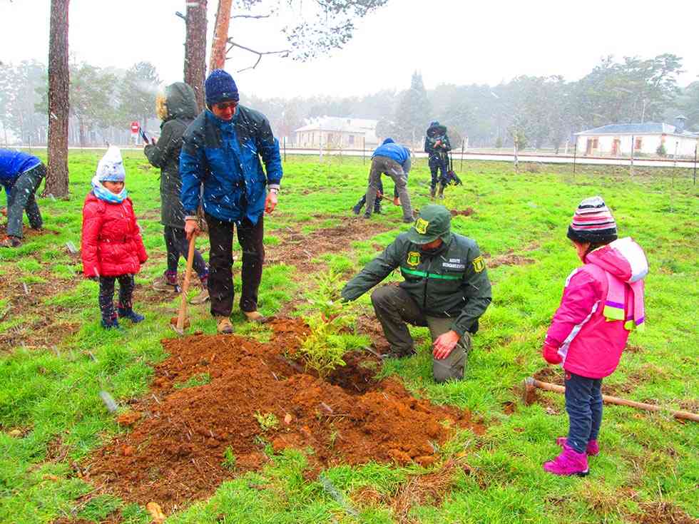 Plantación para conmemorar el Día Forestal Mundial Plantación para conmemorar el Día Forestal Mundial
