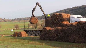 El uso energético de la biomasa de los matorrales, cada vez más cerca
