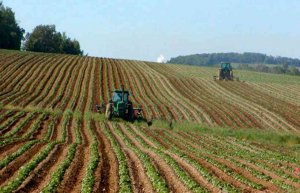 Caja Rural de Soria y Soriactiva tramitan ya las ayudas de la PAC