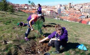 Los custodios ambientales plantan árboles en el Castillo