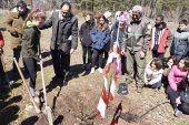 La Junta celebra el Día del Árbol en el Arboreto de Valonsadero