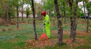 Convocatoria para que los ayuntamientos contraten desempleados