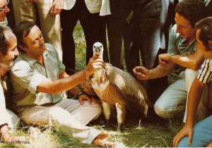 Carta abierta en el homenaje a Rodríguez de la Fuente