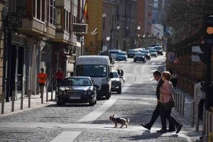 El Ayuntamiento retirará "algunos" de los pasos elevados de Nicolás Rabal