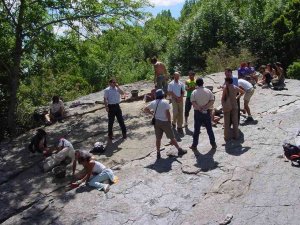 Casi 500 plazas para los campos de voluntariado juvenil