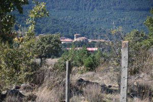 La UGAM Montes de Soria se desvincula del Cesefor La UGAM Montes de Soria se desvincula del Cesefor