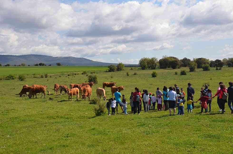Correos y ASFOSO celebran jornadas escolares de educación medioambiental Correos y ASFOSO celebran jornadas escolares de educación medioambiental