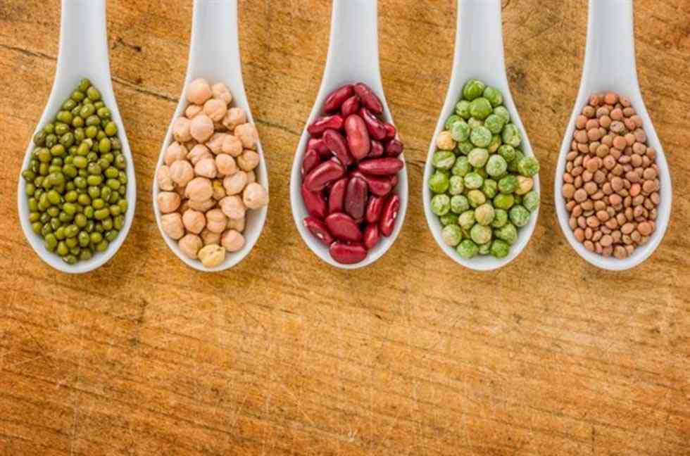 El Centro para la Calidad de los Alimentos fomenta el consumo de legumbres El Centro para la Calidad de los Alimentos fomenta el consumo de legumbres