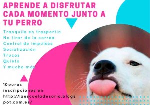 Monográfico de educación canina en el Centro Joven