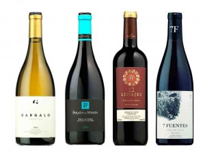 Vinoselección recala en Soria en su 45 aniversario