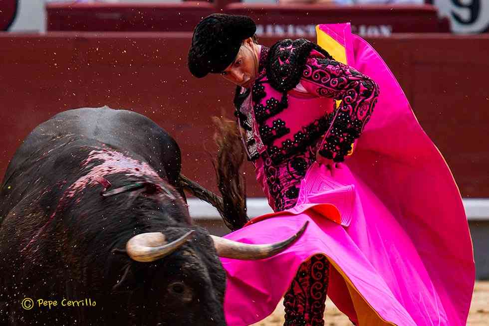 "Tauromaquía", de Pepe Cerrillo, en "Espacio de Arte" "Tauromaquía", de Pepe Cerrillo, en "Espacio de Arte"
